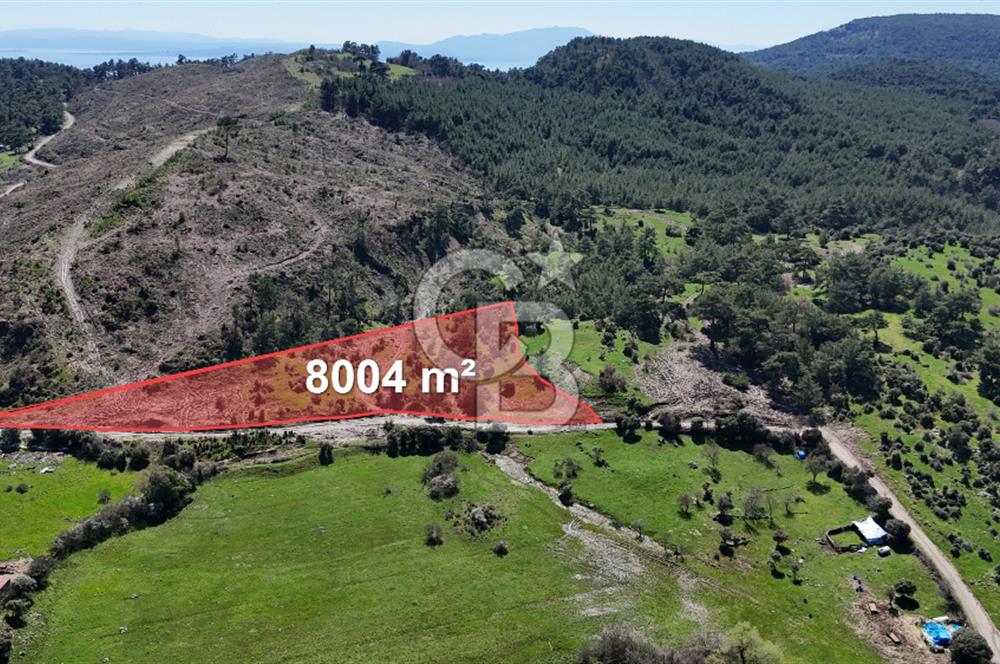 ÇANAKKALE AYVACIK KAYALAR KÖYÜNDE 8.004 m² SATILIK TARLA