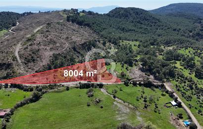 ÇANAKKALE AYVACIK KAYALAR KÖYÜNDE 8.004 m² SATILIK TARLA