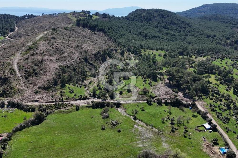 ÇANAKKALE AYVACIK KAYALAR KÖYÜNDE 8.004 m² SATILIK TARLA