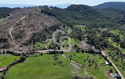 ÇANAKKALE AYVACIK KAYALAR KÖYÜNDE 8.004 m² SATILIK TARLA