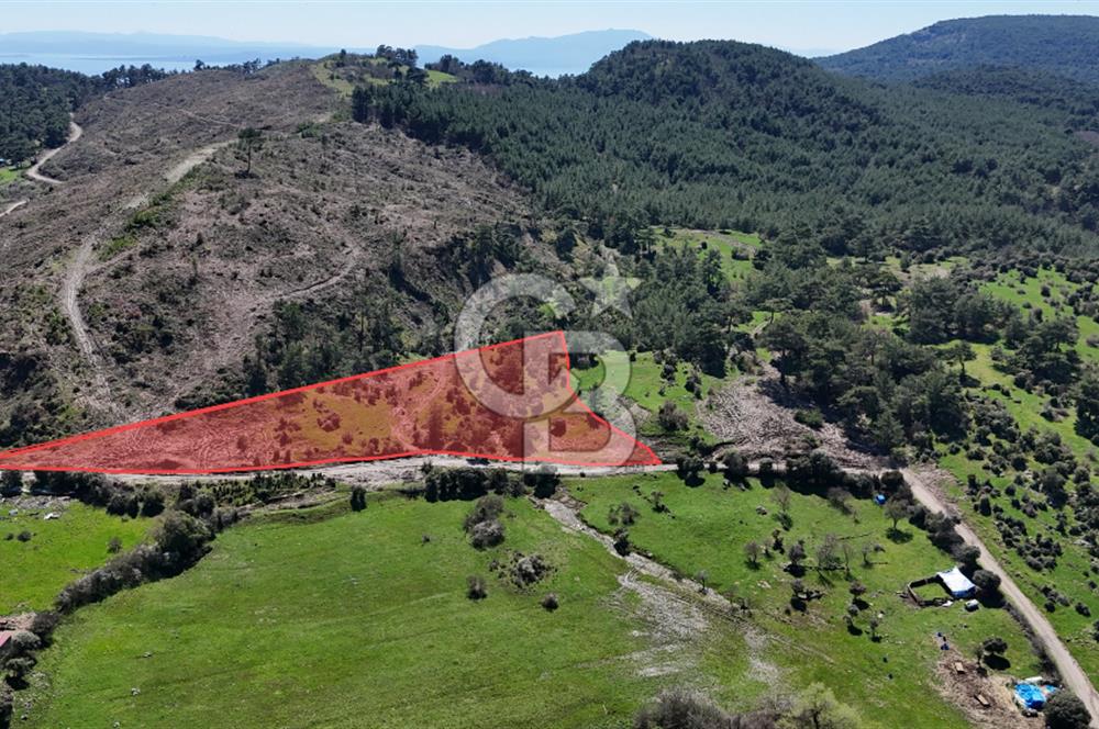 ÇANAKKALE AYVACIK KAYALAR KÖYÜNDE 8.004 m² SATILIK TARLA