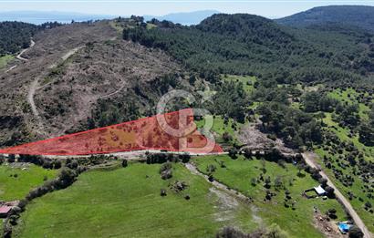 ÇANAKKALE AYVACIK KAYALAR KÖYÜNDE 8.004 m² SATILIK TARLA