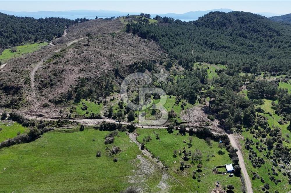 ÇANAKKALE AYVACIK KAYALAR KÖYÜNDE 8.004 m² SATILIK TARLA