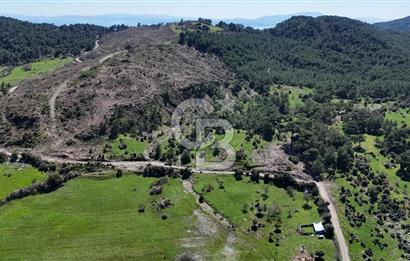 ÇANAKKALE AYVACIK KAYALAR KÖYÜNDE 8.004 m² SATILIK TARLA