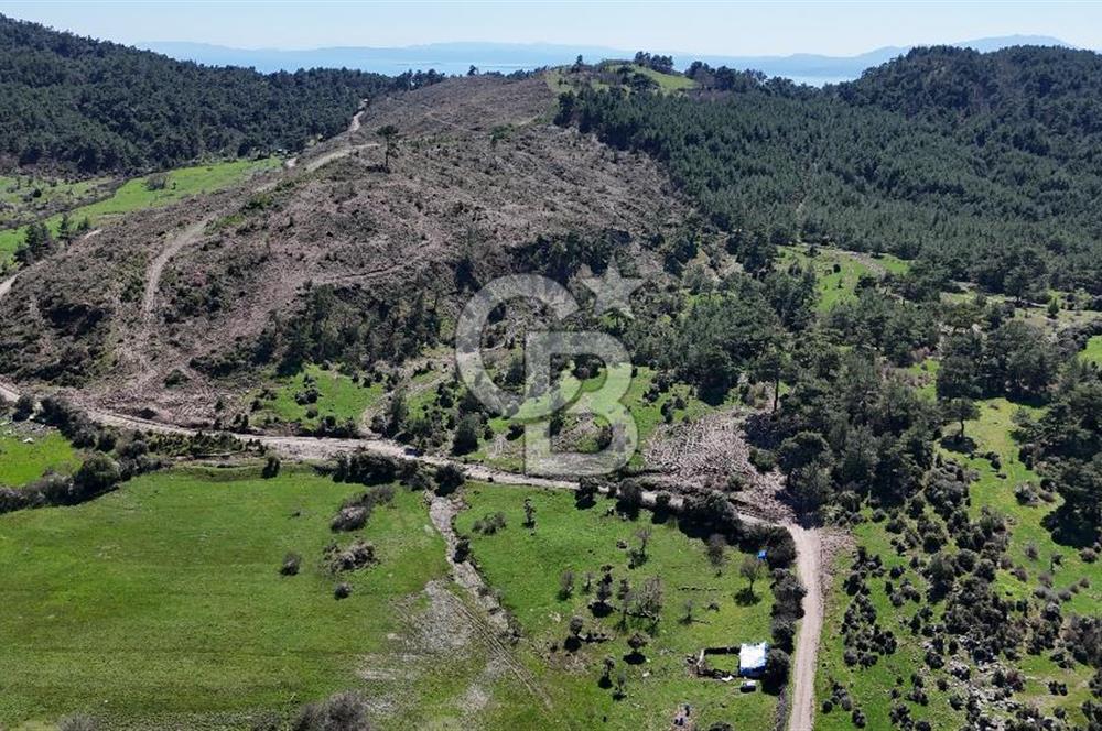 ÇANAKKALE AYVACIK KAYALAR KÖYÜNDE 8.004 m² SATILIK TARLA