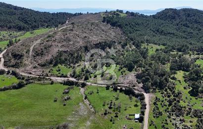 ÇANAKKALE AYVACIK KAYALAR KÖYÜNDE 8.004 m² SATILIK TARLA