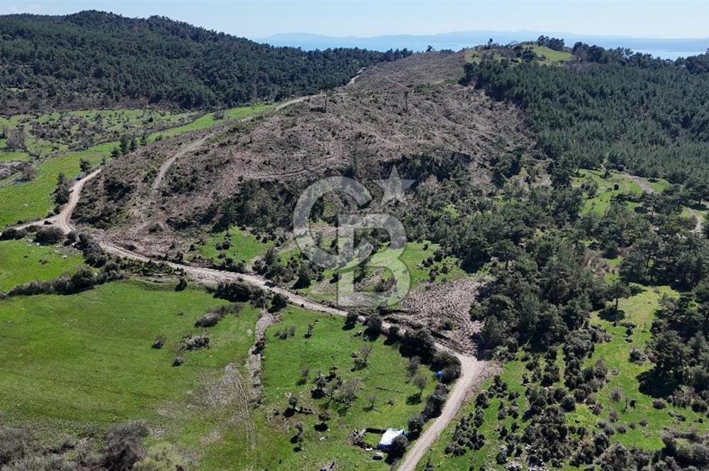 ÇANAKKALE AYVACIK KAYALAR KÖYÜNDE 8.004 m² SATILIK TARLA