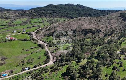 ÇANAKKALE AYVACIK KAYALAR KÖYÜNDE 8.004 m² SATILIK TARLA