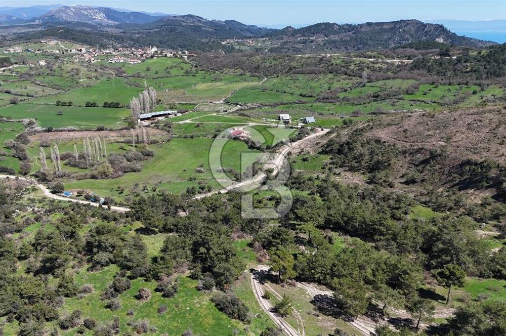 ÇANAKKALE AYVACIK KAYALAR KÖYÜNDE 8.004 m² SATILIK TARLA