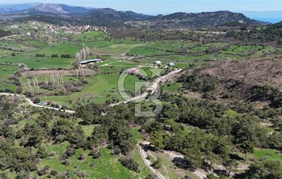 ÇANAKKALE AYVACIK KAYALAR KÖYÜNDE 8.004 m² SATILIK TARLA