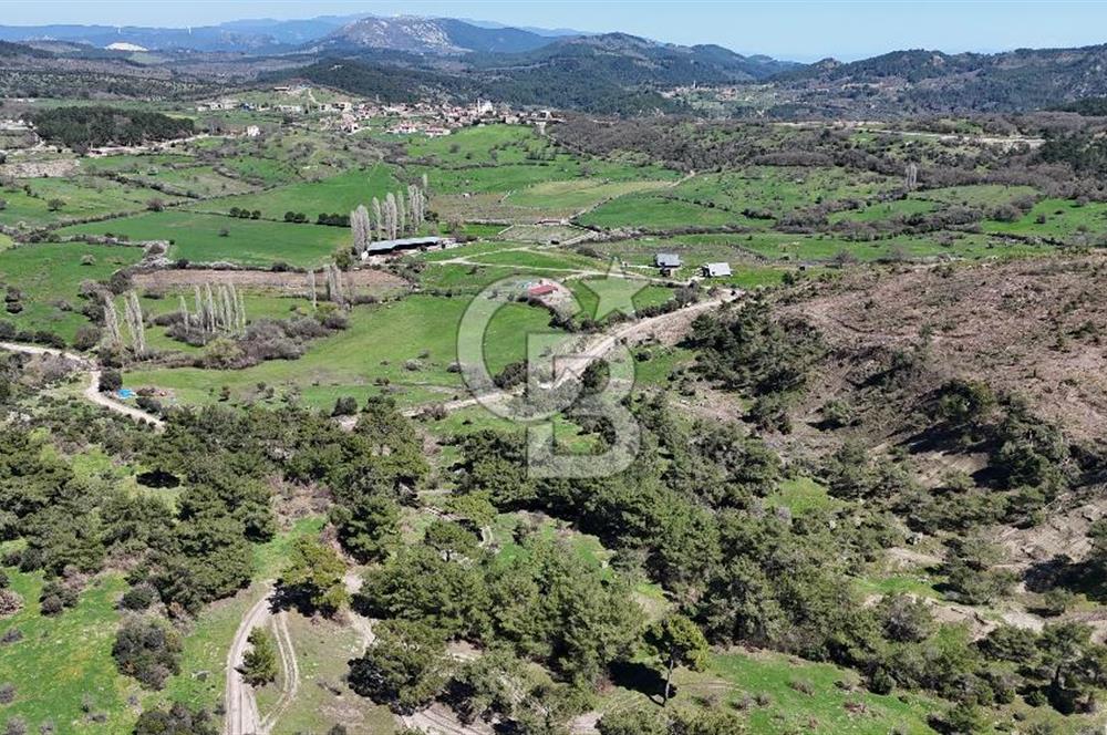 ÇANAKKALE AYVACIK KAYALAR KÖYÜNDE 8.004 m² SATILIK TARLA