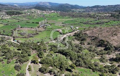 ÇANAKKALE AYVACIK KAYALAR KÖYÜNDE 8.004 m² SATILIK TARLA