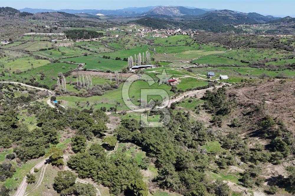 ÇANAKKALE AYVACIK KAYALAR KÖYÜNDE 8.004 m² SATILIK TARLA