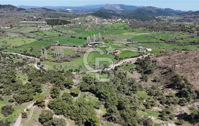 ÇANAKKALE AYVACIK KAYALAR KÖYÜNDE 8.004 m² SATILIK TARLA