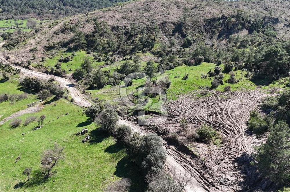 ÇANAKKALE AYVACIK KAYALAR KÖYÜNDE 8.004 m² SATILIK TARLA