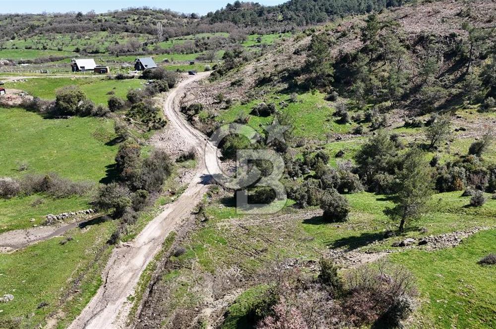 ÇANAKKALE AYVACIK KAYALAR KÖYÜNDE 8.004 m² SATILIK TARLA