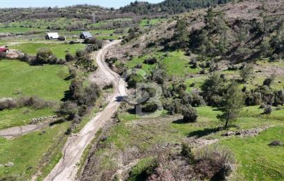 ÇANAKKALE AYVACIK KAYALAR KÖYÜNDE 8.004 m² SATILIK TARLA