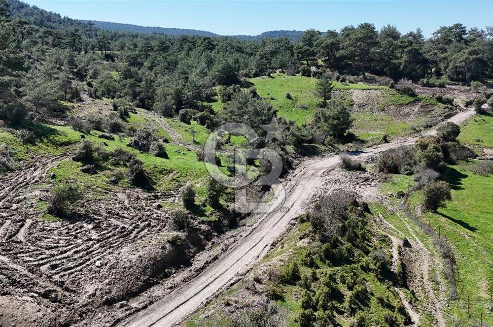 ÇANAKKALE AYVACIK KAYALAR KÖYÜNDE 8.004 m² SATILIK TARLA