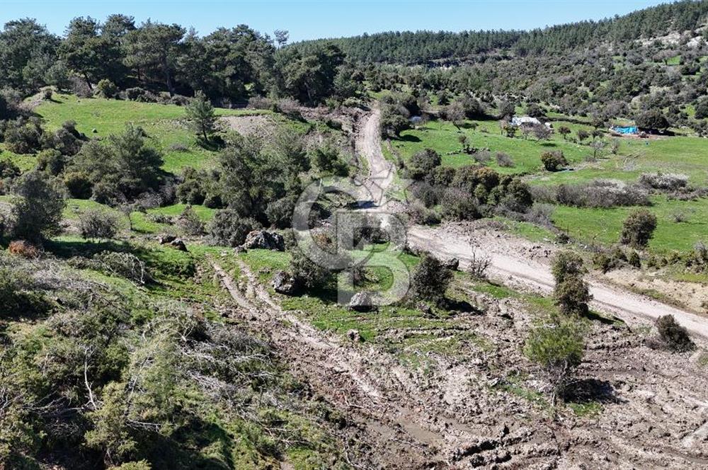 ÇANAKKALE AYVACIK KAYALAR KÖYÜNDE 8.004 m² SATILIK TARLA