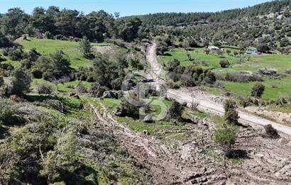 ÇANAKKALE AYVACIK KAYALAR KÖYÜNDE 8.004 m² SATILIK TARLA