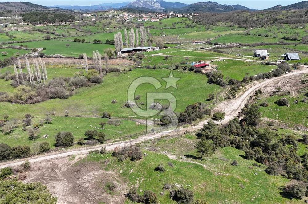 ÇANAKKALE AYVACIK KAYALAR KÖYÜNDE 8.004 m² SATILIK TARLA