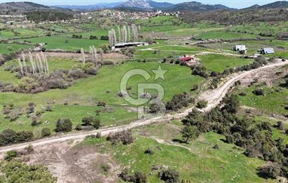 ÇANAKKALE AYVACIK KAYALAR KÖYÜNDE 8.004 m² SATILIK TARLA