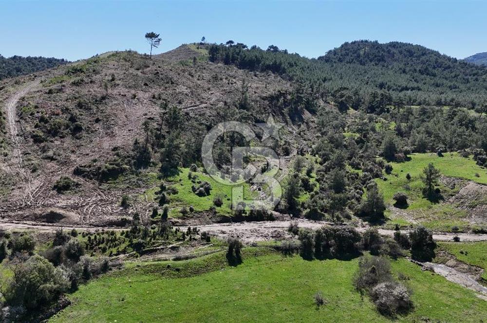 ÇANAKKALE AYVACIK KAYALAR KÖYÜNDE 8.004 m² SATILIK TARLA