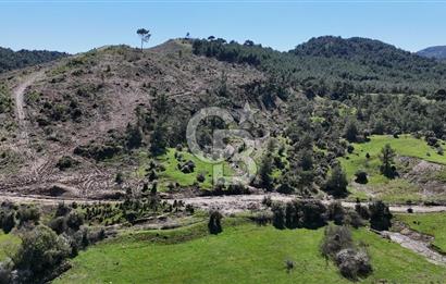 ÇANAKKALE AYVACIK KAYALAR KÖYÜNDE 8.004 m² SATILIK TARLA