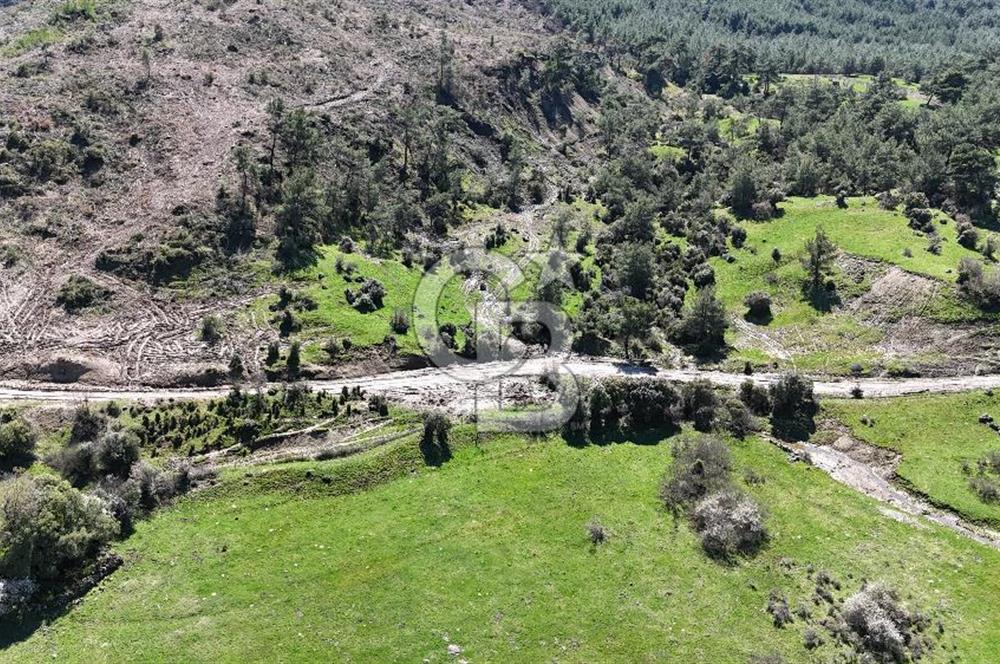 ÇANAKKALE AYVACIK KAYALAR KÖYÜNDE 8.004 m² SATILIK TARLA