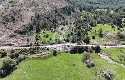 ÇANAKKALE AYVACIK KAYALAR KÖYÜNDE 8.004 m² SATILIK TARLA