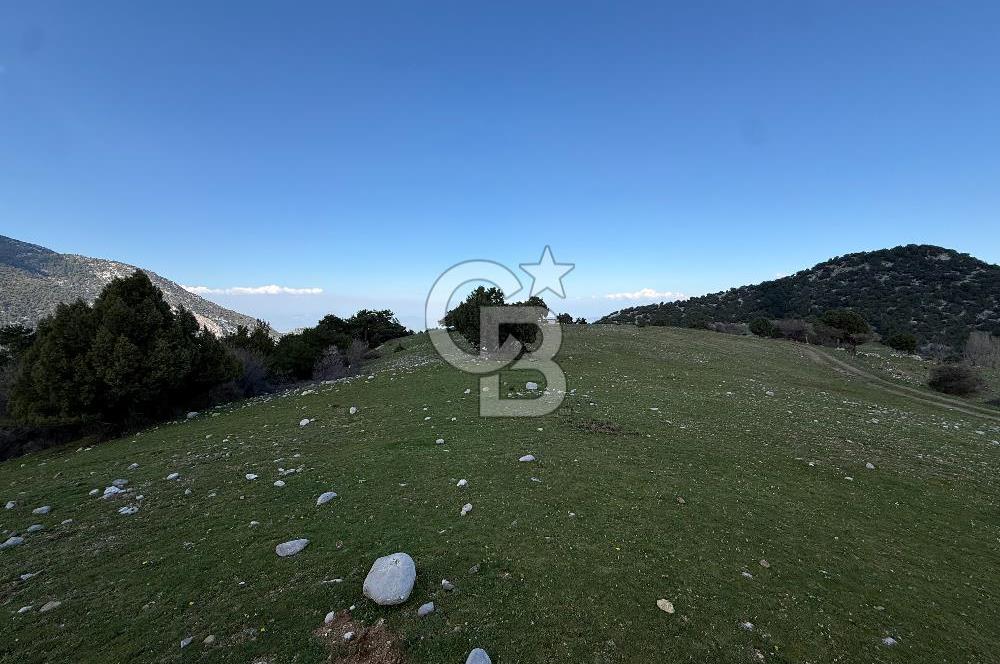 Manisa Ayvacık'ta Ana Yola Yakın 5664m² Elmalık Satılık Tarla