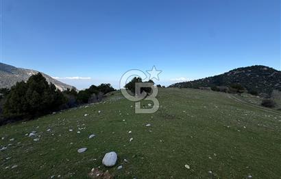 Manisa Ayvacık'ta Ana Yola Yakın 5664m² Elmalık Satılık Tarla