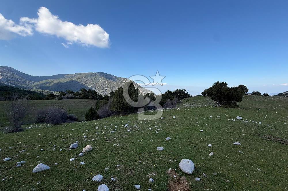 Manisa Ayvacık'ta Ana Yola Yakın 5664m² Elmalık Satılık Tarla