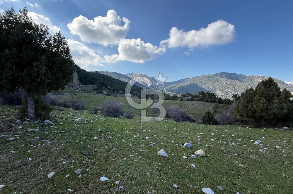 Manisa Ayvacık'ta Ana Yola Yakın 5664m² Elmalık Satılık Tarla