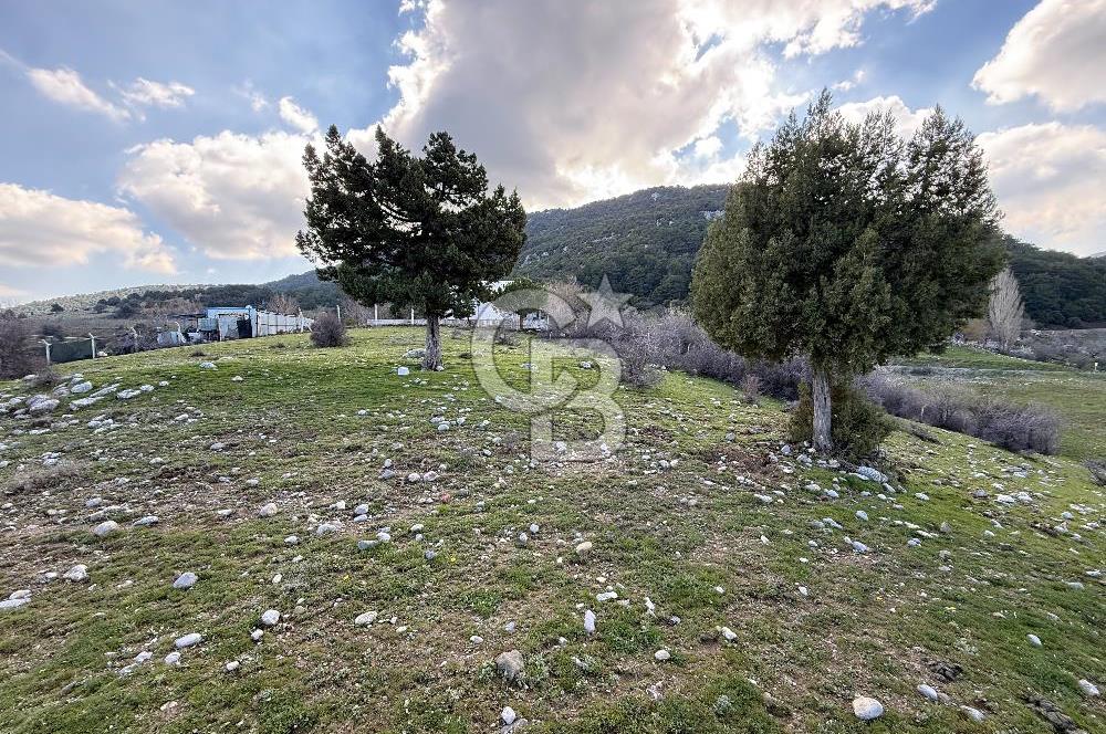 Manisa Ayvacık'ta Ana Yola Yakın 5664m² Elmalık Satılık Tarla