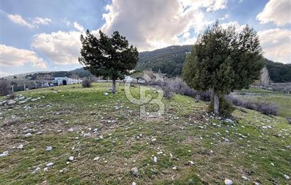 Manisa Ayvacık'ta Ana Yola Yakın 5664m² Elmalık Satılık Tarla