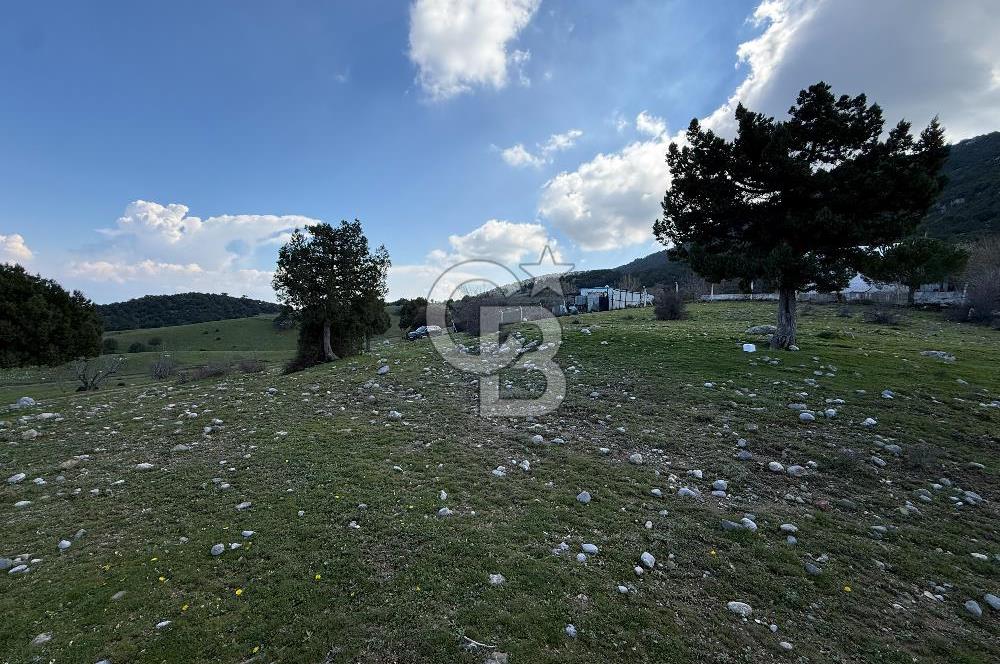 Manisa Ayvacık'ta Ana Yola Yakın 5664m² Elmalık Satılık Tarla