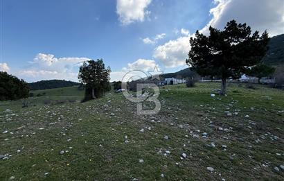 Manisa Ayvacık'ta Ana Yola Yakın 5664m² Elmalık Satılık Tarla