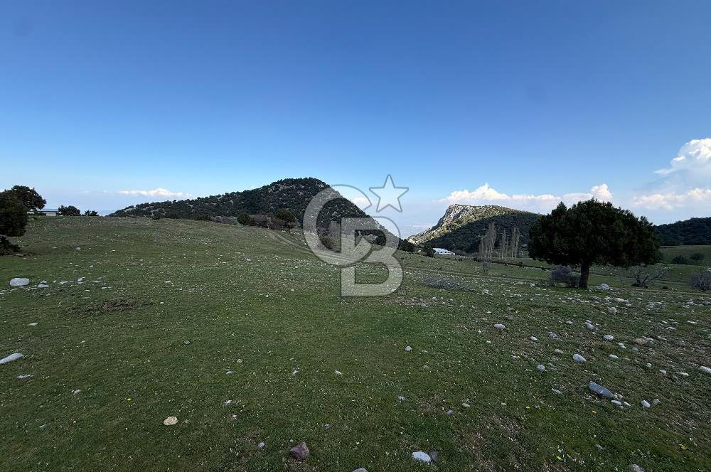 Manisa Ayvacık'ta Ana Yola Yakın 5664m² Elmalık Satılık Tarla