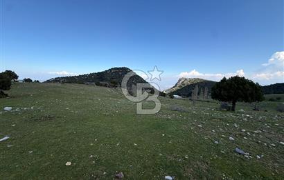 Manisa Ayvacık'ta Ana Yola Yakın 5664m² Elmalık Satılık Tarla