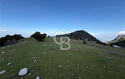 Manisa Ayvacık'ta Ana Yola Yakın 5664m² Elmalık Satılık Tarla