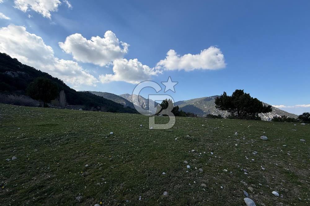 Manisa Ayvacık'ta Ana Yola Yakın 5664m² Elmalık Satılık Tarla