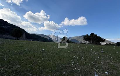 Manisa Ayvacık'ta Ana Yola Yakın 5664m² Elmalık Satılık Tarla