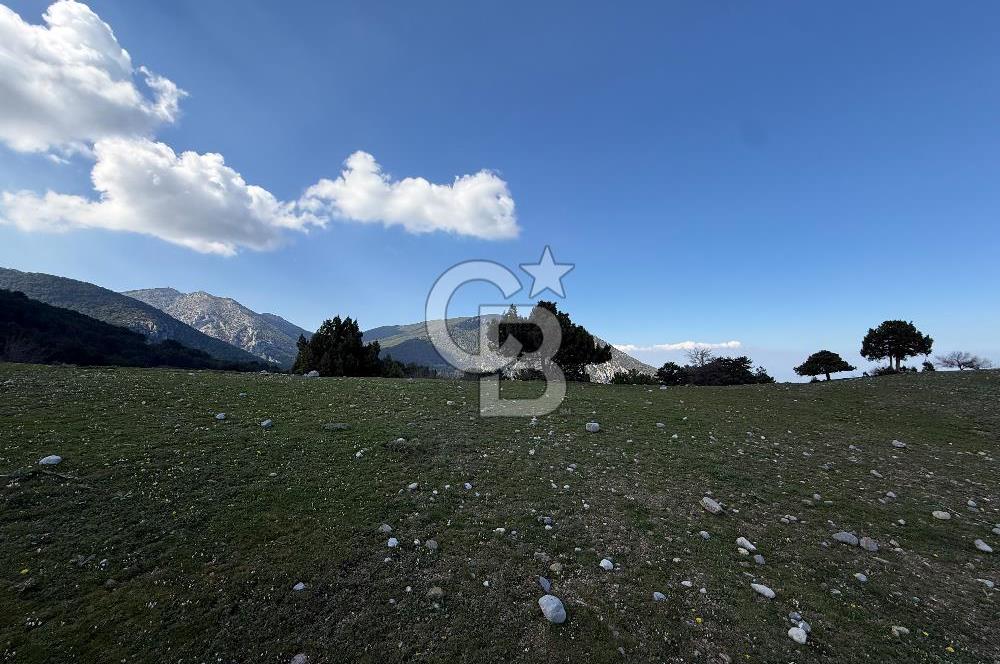 Manisa Ayvacık'ta Ana Yola Yakın 5664m² Elmalık Satılık Tarla