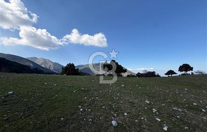 Manisa Ayvacık'ta Ana Yola Yakın 5664m² Elmalık Satılık Tarla