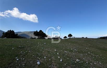 Manisa Ayvacık'ta Ana Yola Yakın 5664m² Elmalık Satılık Tarla