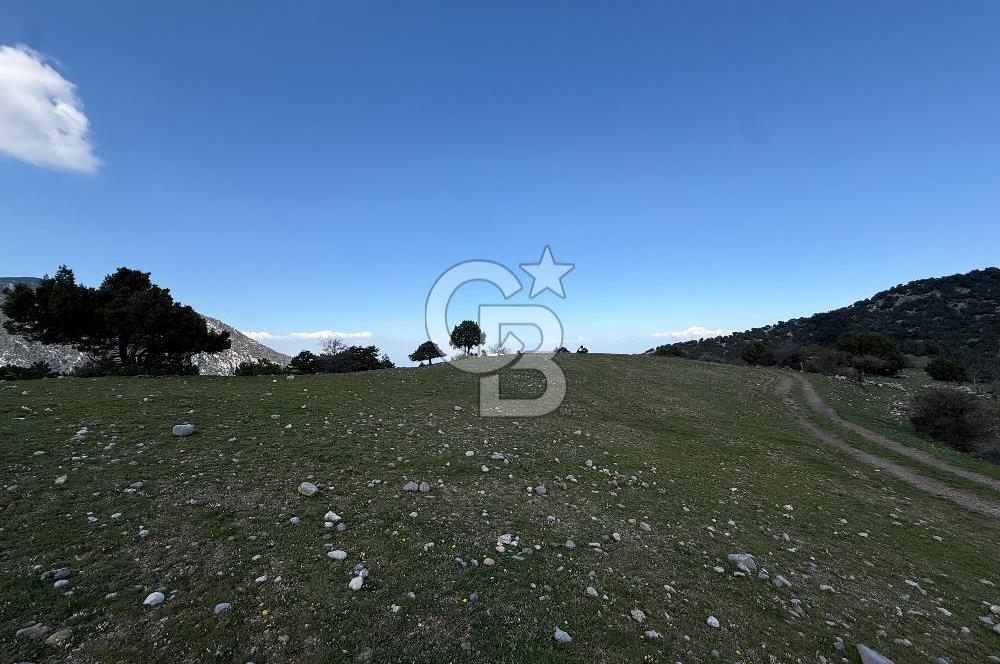 Manisa Ayvacık'ta Ana Yola Yakın 5664m² Elmalık Satılık Tarla