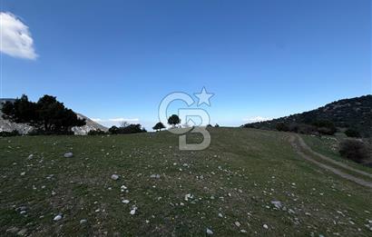 Manisa Ayvacık'ta Ana Yola Yakın 5664m² Elmalık Satılık Tarla