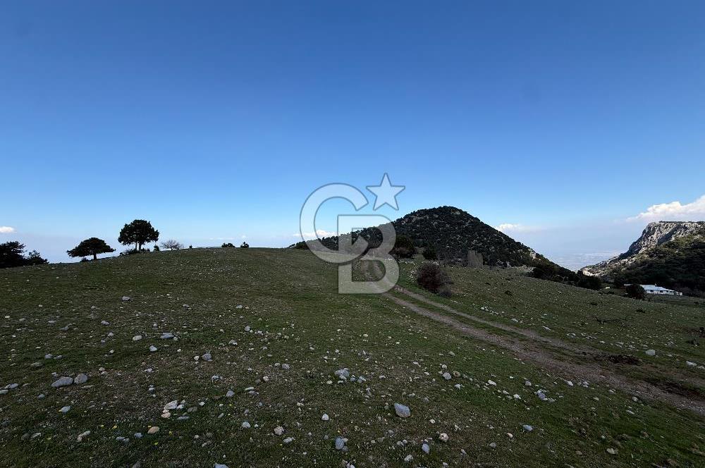 Manisa Ayvacık'ta Ana Yola Yakın 5664m² Elmalık Satılık Tarla