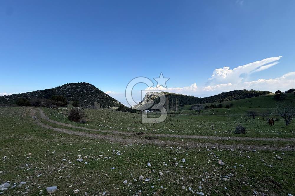 Manisa Ayvacık'ta Ana Yola Yakın 5664m² Elmalık Satılık Tarla